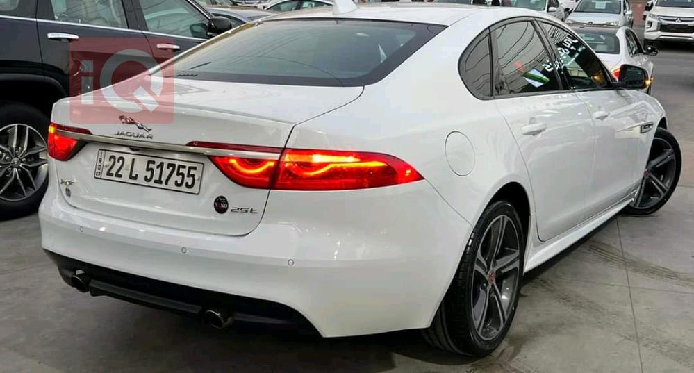 جاكوار XF